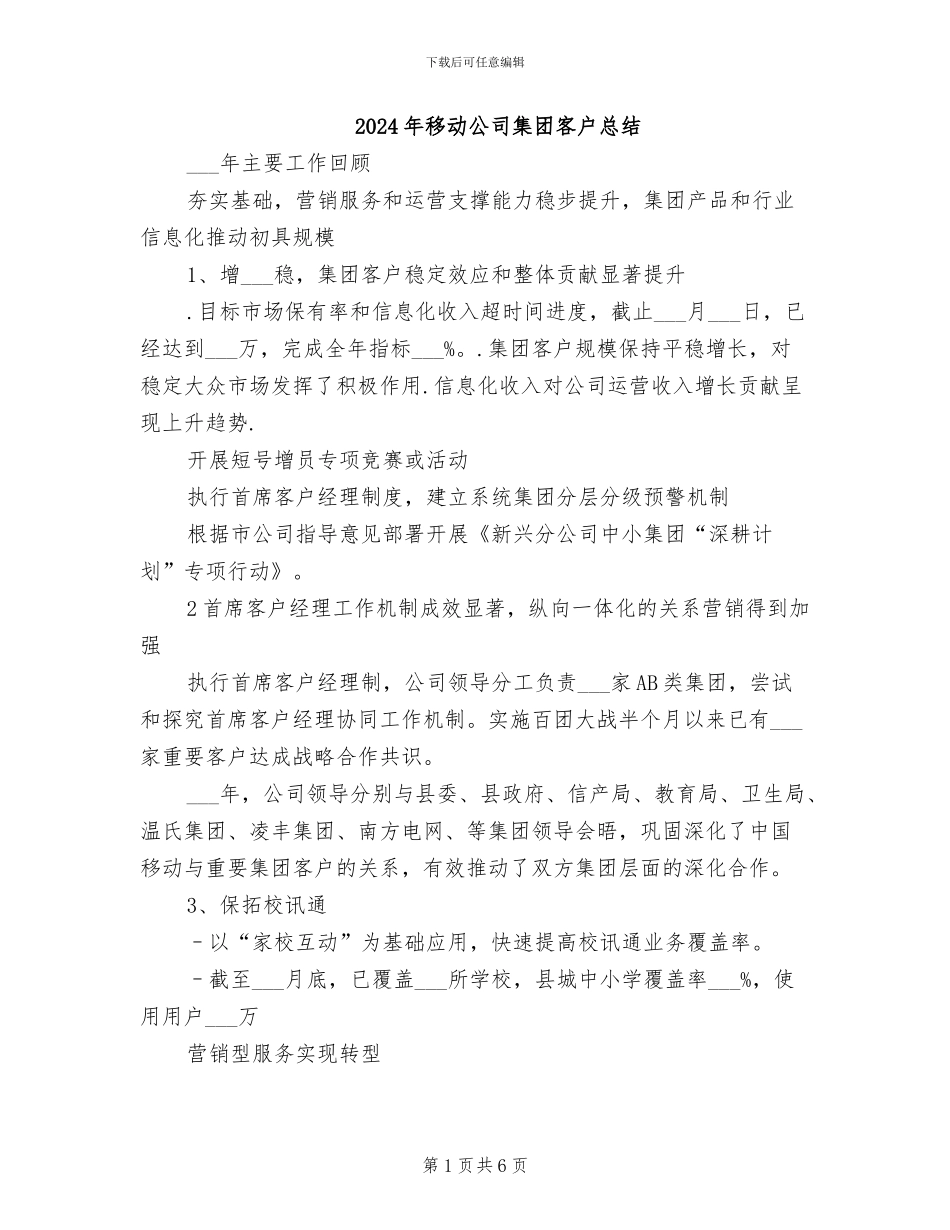 2024年移动公司集团客户总结_第1页