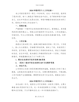 2024年程序员个人工作总结一
