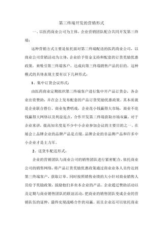 第三终端开发的营销形式