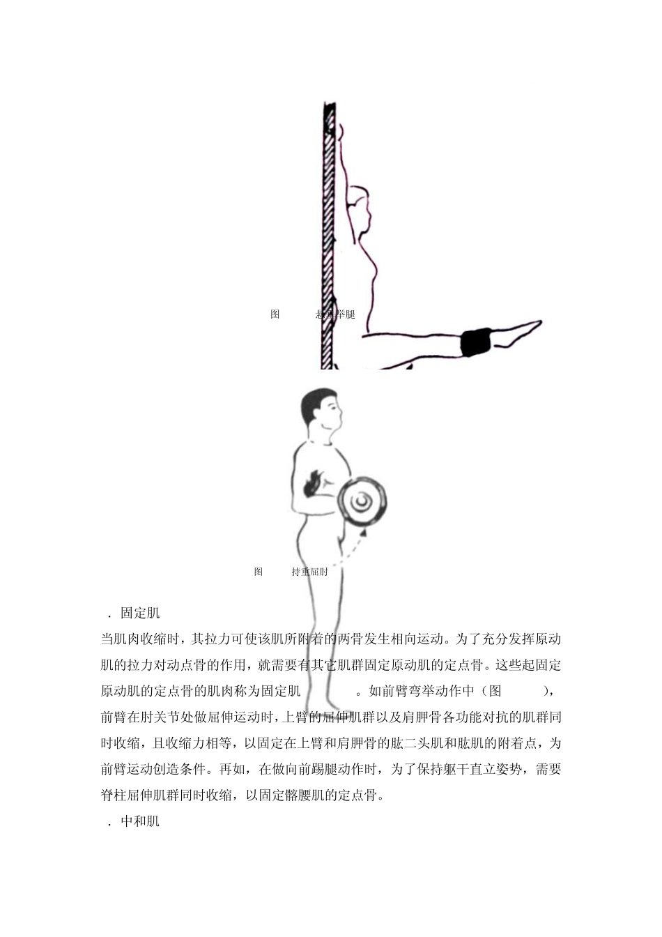 第三节人体运动的解剖学分析_第3页