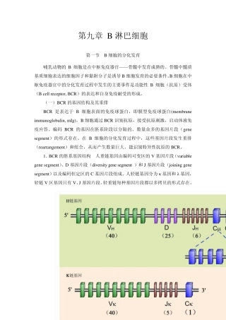 第九章B淋巴细胞