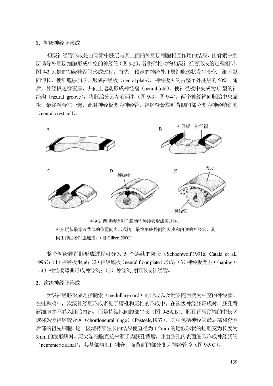 第九章三胚层与器官发生_第2页