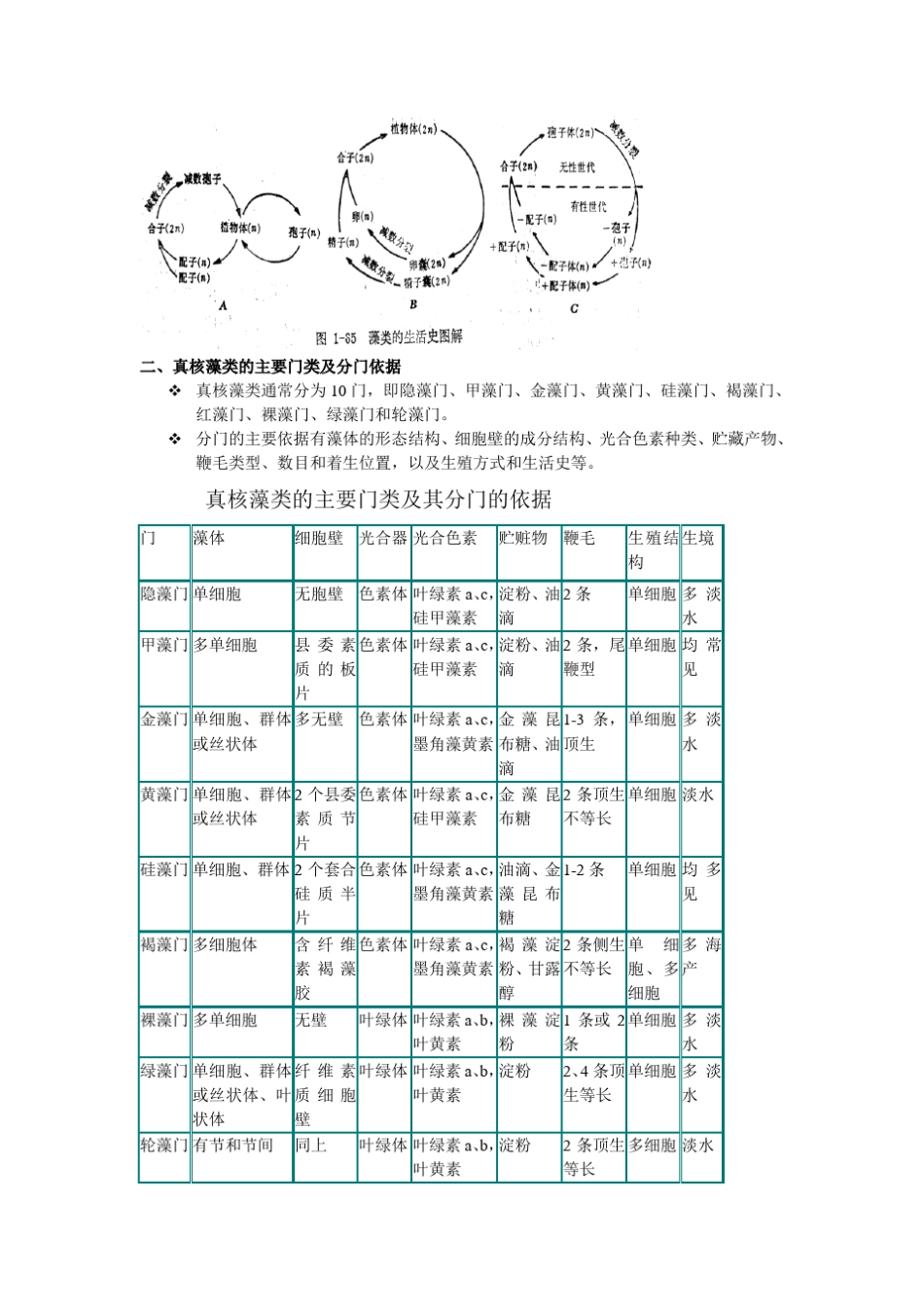 第九章真核藻类_第3页