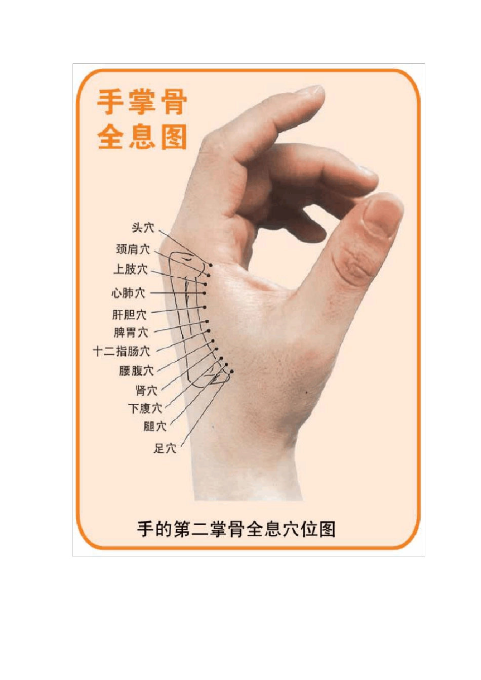 第二掌骨全息穴位图与疾病治疗秘诀_第1页