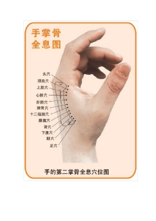第二掌骨全息穴位图与疾病治疗秘诀