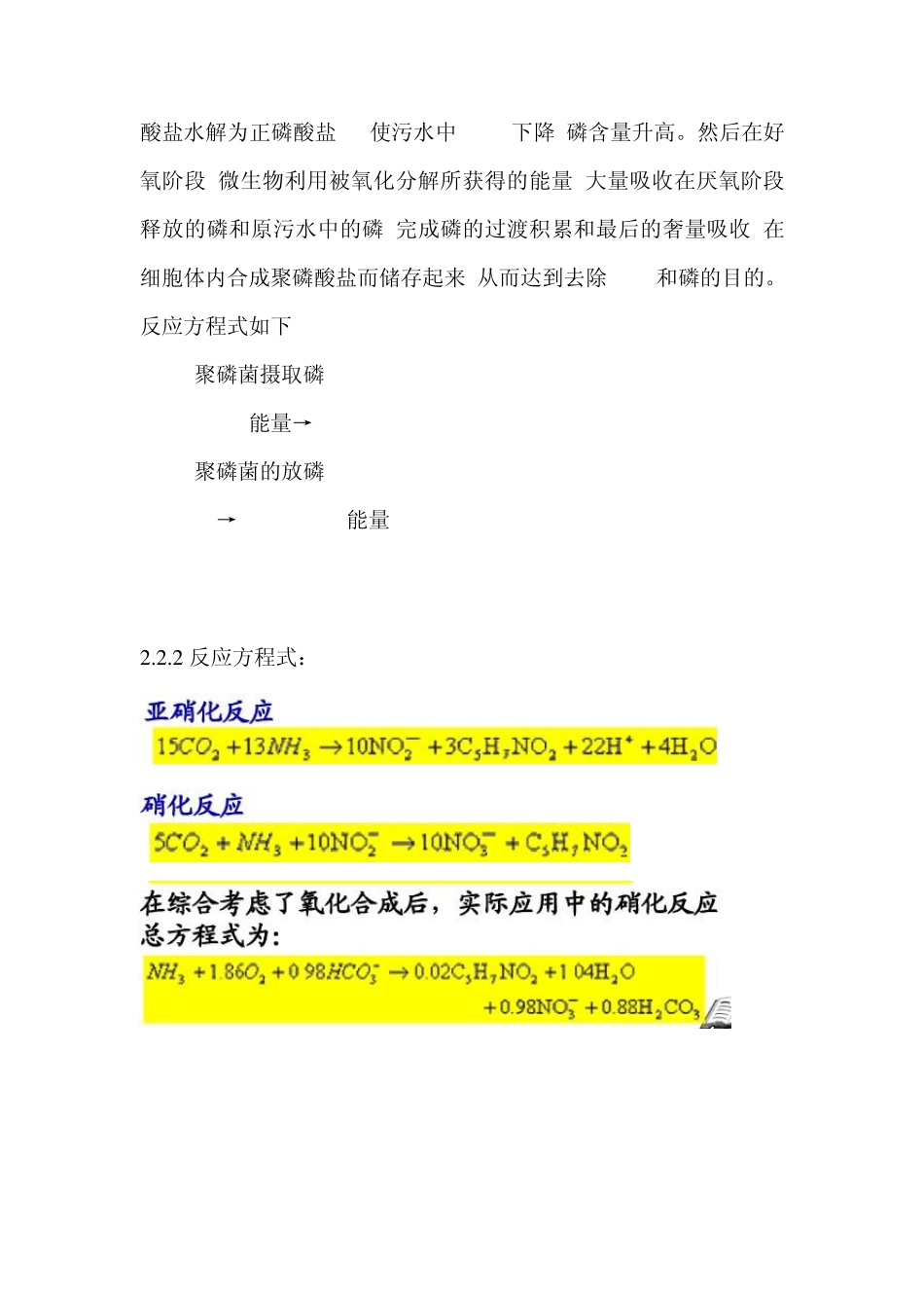 第二章.生物除磷_第2页