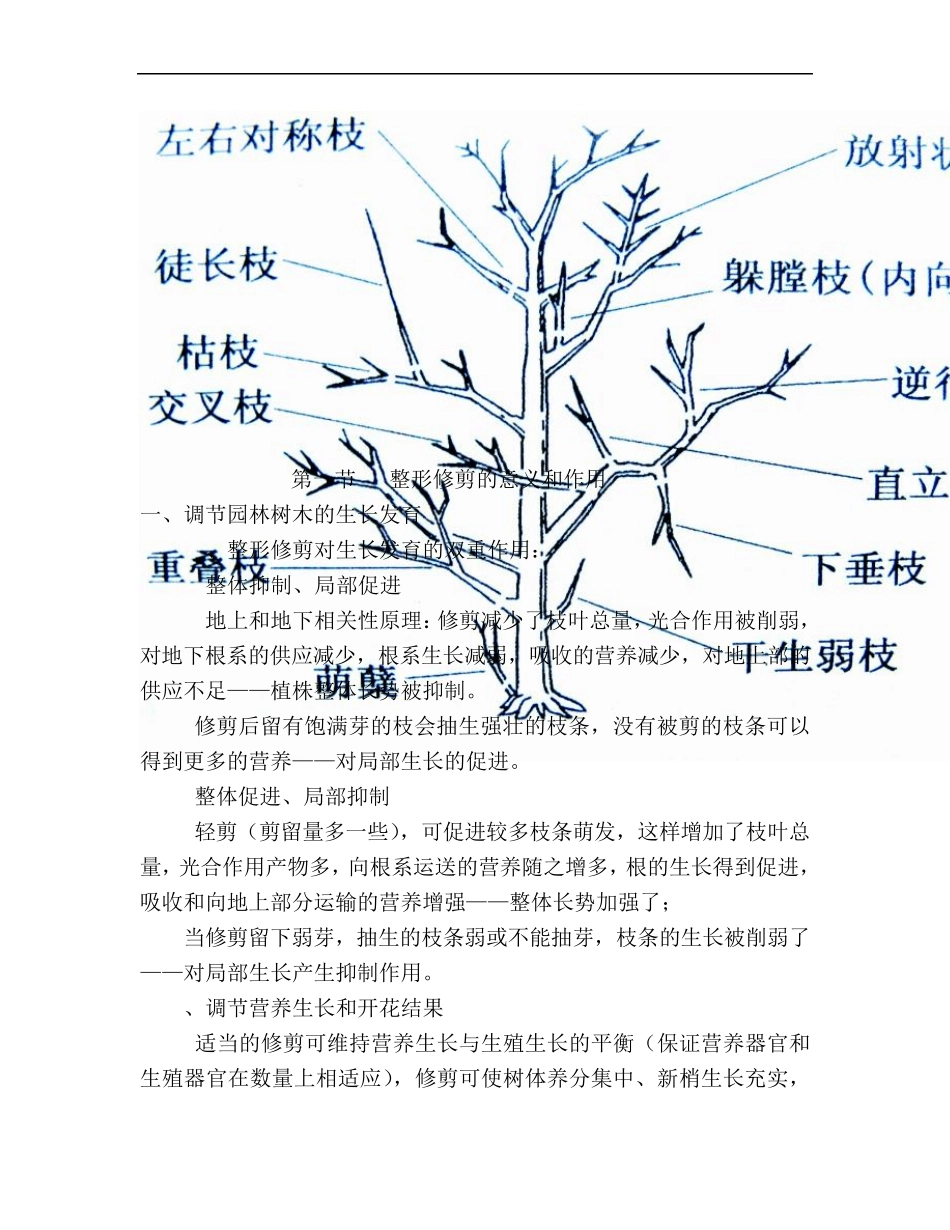 第二章园林树木的整形修剪_第3页