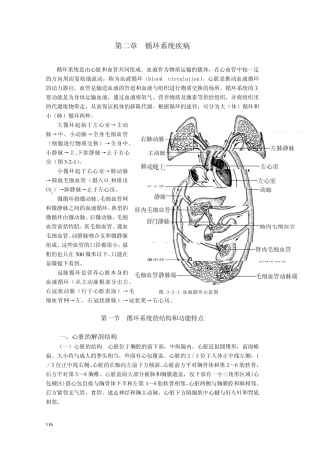 第二章循环系统疾病
