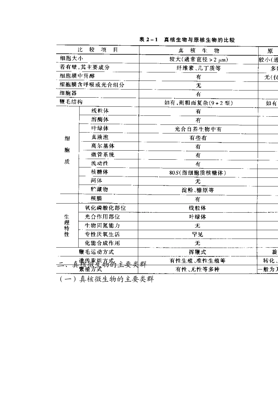 第二章真核微生物的形态、构造和功能_第2页