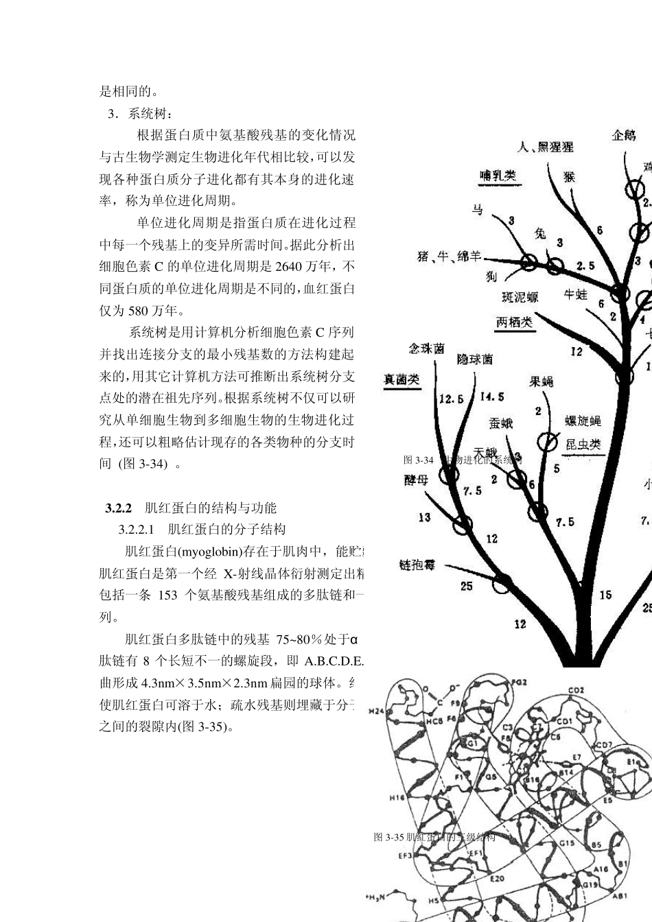 第二节蛋白质结构与功能的关系_第3页