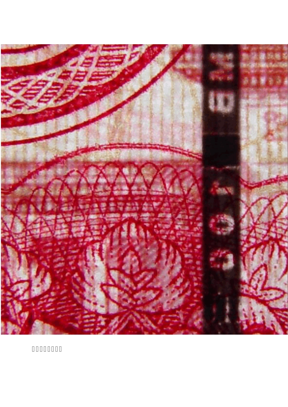 第五套人民币防伪特征_第3页