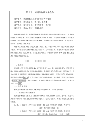 第八章细胞核和染色体