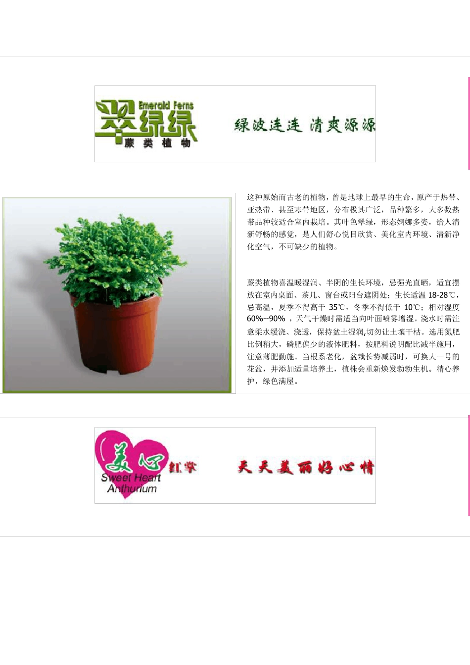 绿植养护知识_第3页
