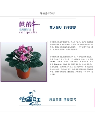 绿植养护知识