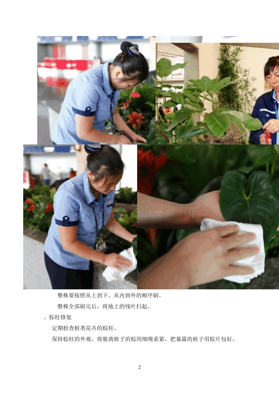 绿植租摆四季方案标书_第2页