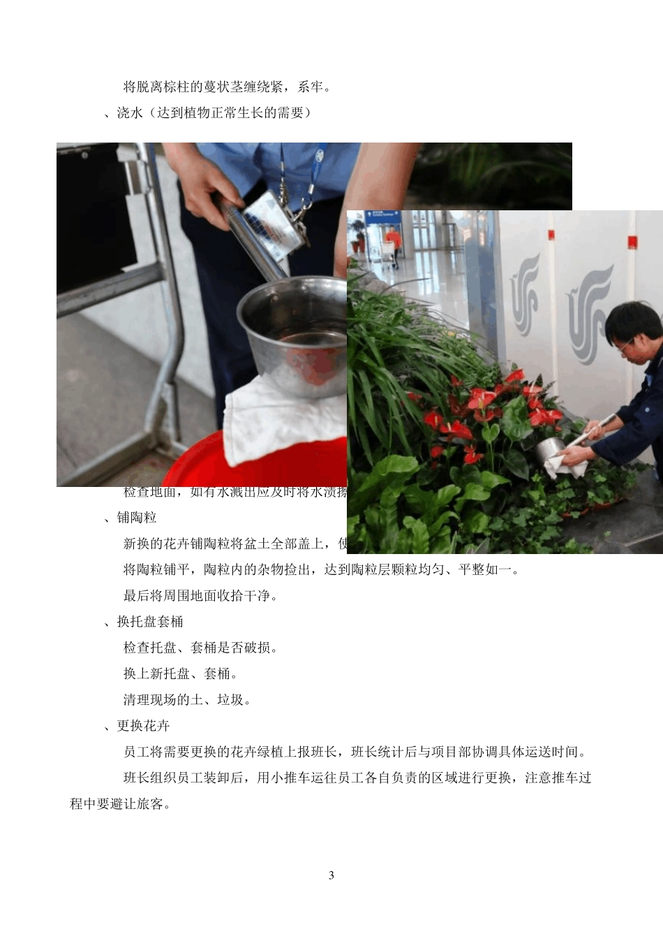 绿植租摆四季方案标书_第3页