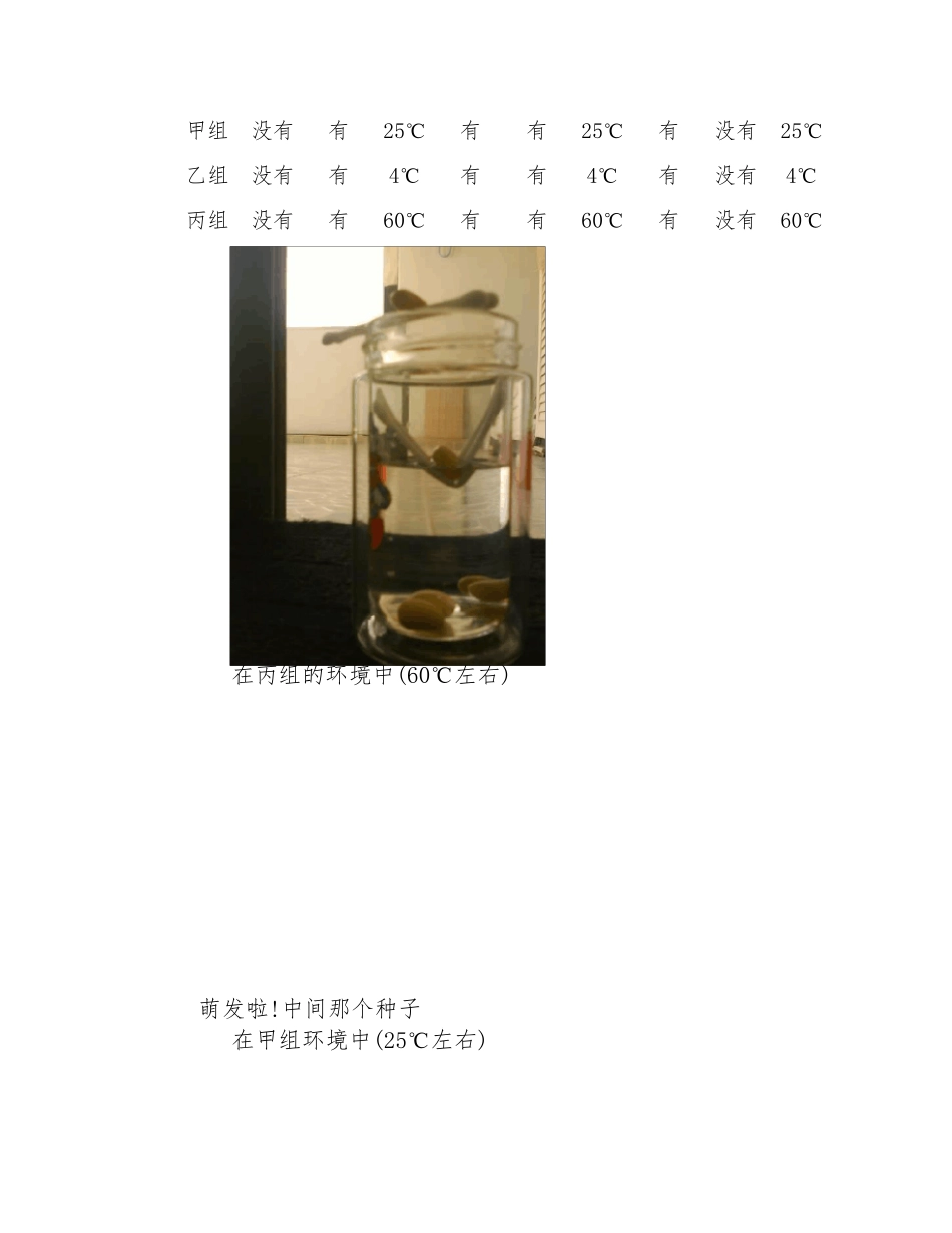 绿豆种子发芽的对比实验_第3页