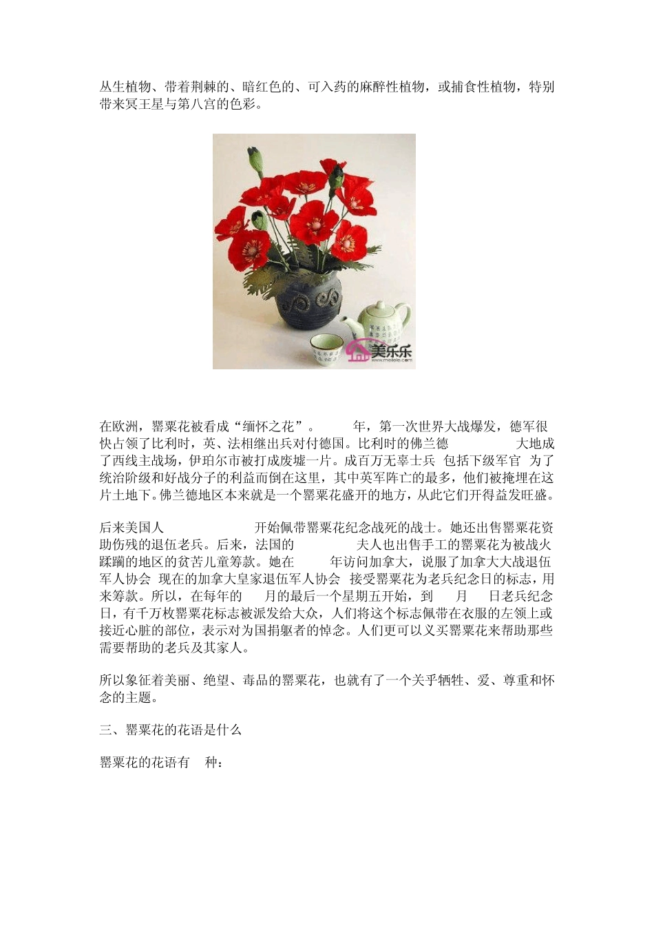 罂粟花图片大全罂粟花的花语是什么_第3页