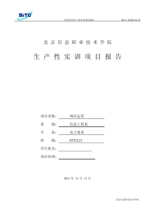 网店运营生产性实训报告8000字网店运营网络推广策划案