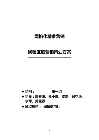 网格化精准营销策划方案