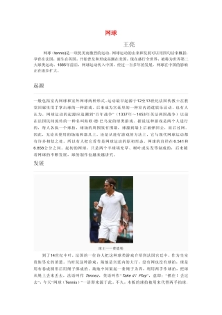 网球知识大全