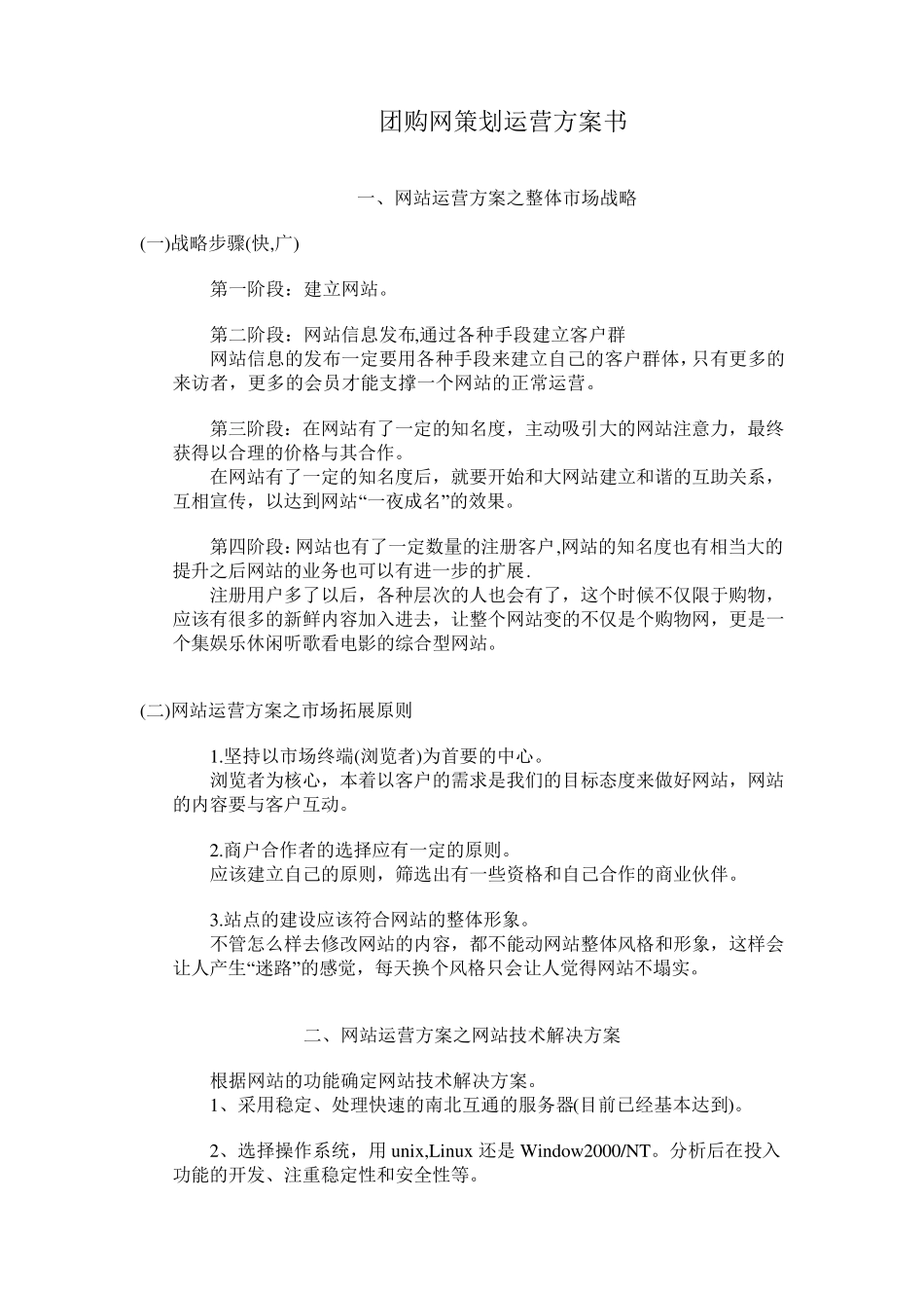 网站运营策划_第1页