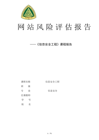 网站风险评估报告
