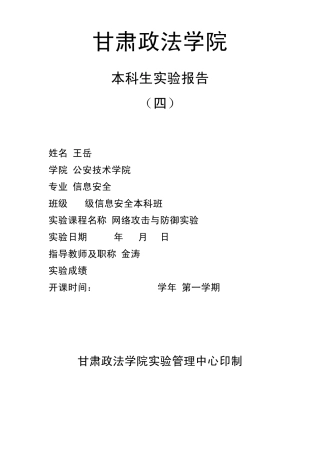 网络攻防实验4