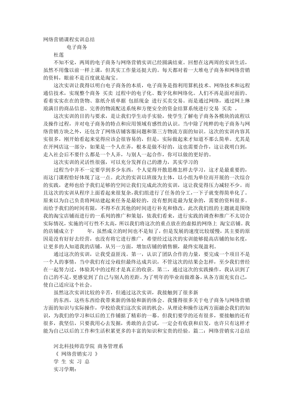 网络营销实践总结_第1页