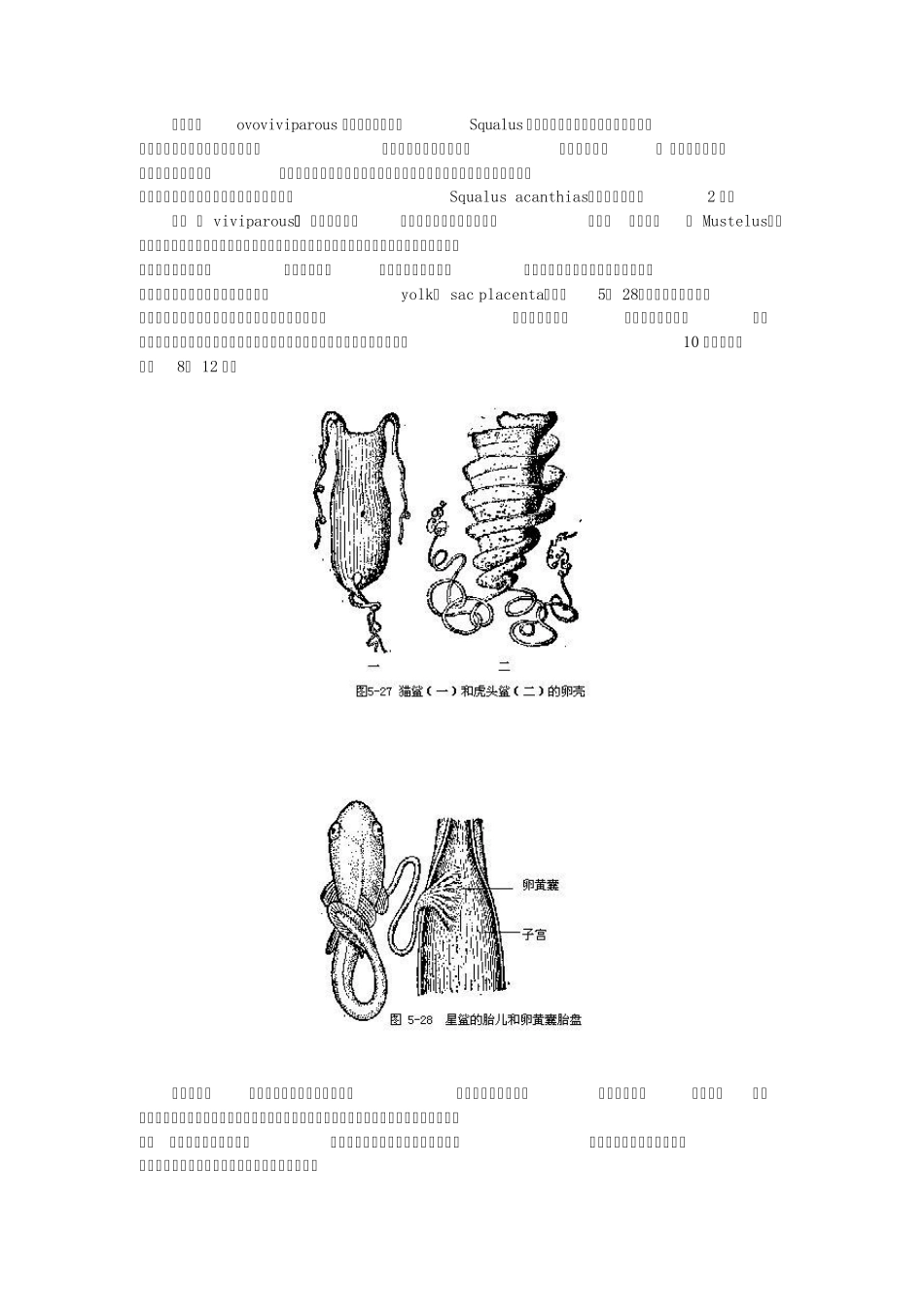 罗伦氏壶腹软骨鱼类除一般的侧线而外_第3页