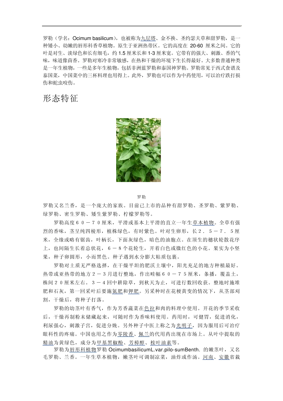 罗勒791015_第1页