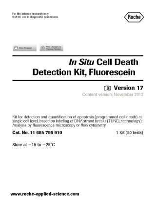 罗氏荧光tunel(11684795910)说明书