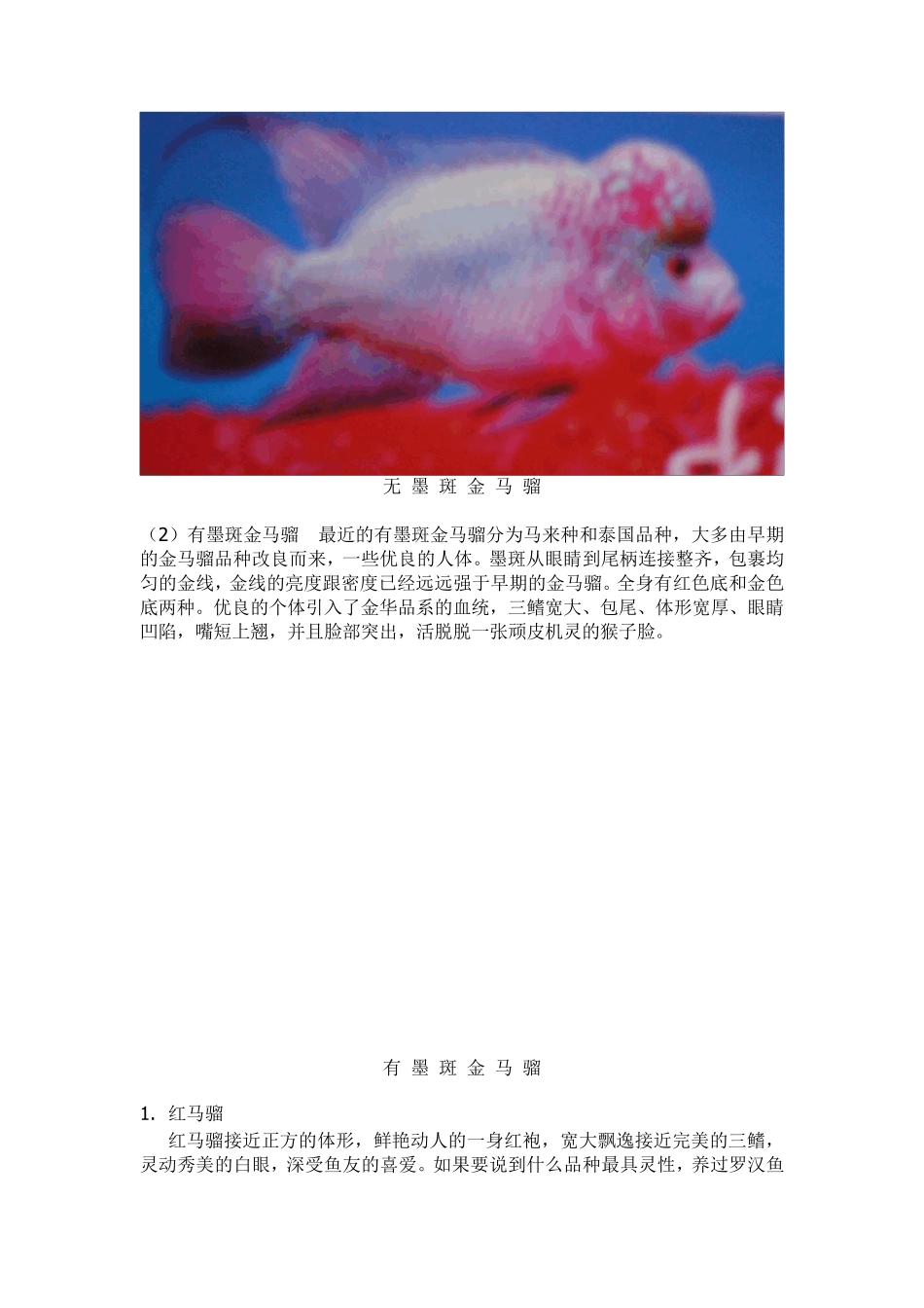 罗汉鱼饲养(十年呕心沥血之作共87M)_第1页