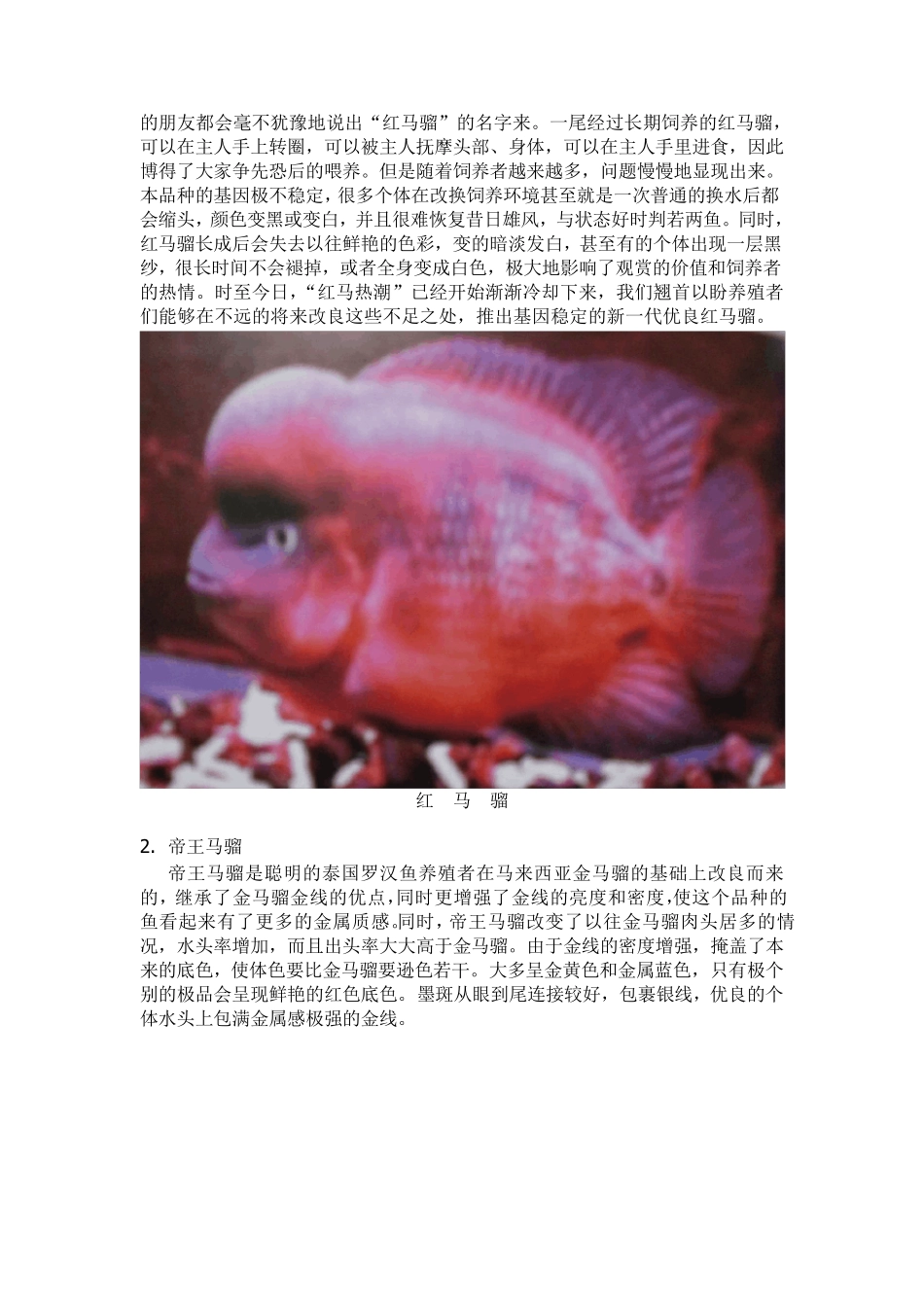 罗汉鱼饲养(十年呕心沥血之作共87M)_第2页