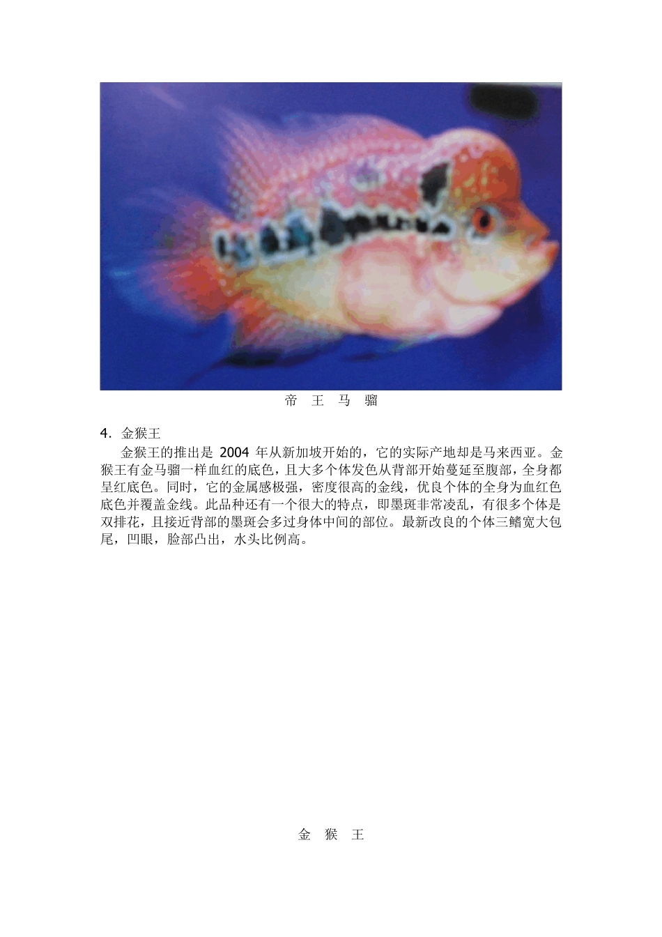 罗汉鱼饲养(十年呕心沥血之作共87M)_第3页