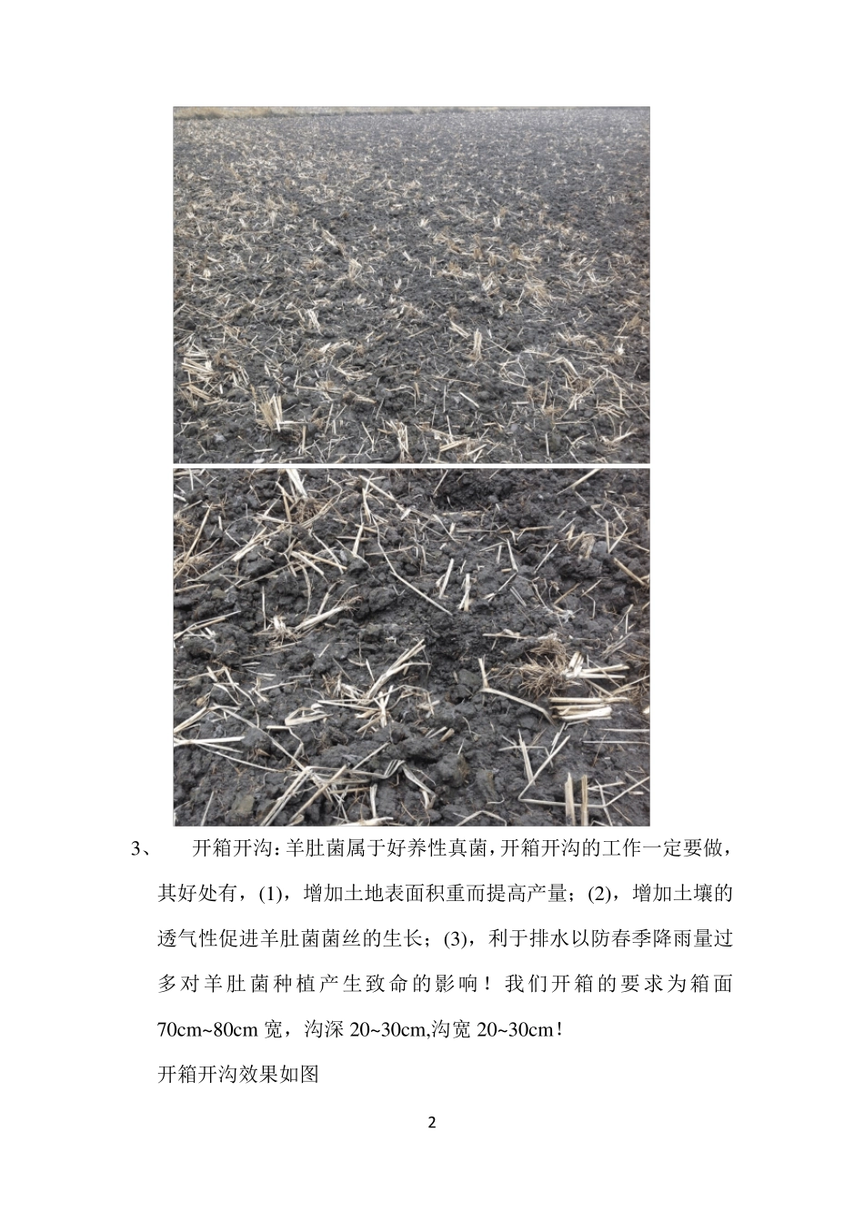 羊肚菌种植标准化操作流程_第2页