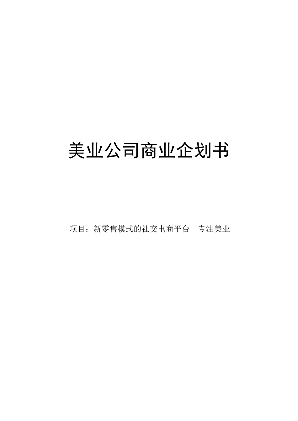 美业公司项目计划书_第1页