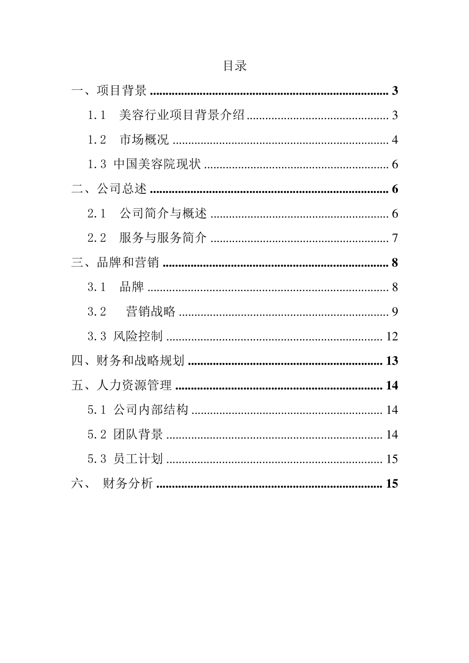 美业公司项目计划书_第2页