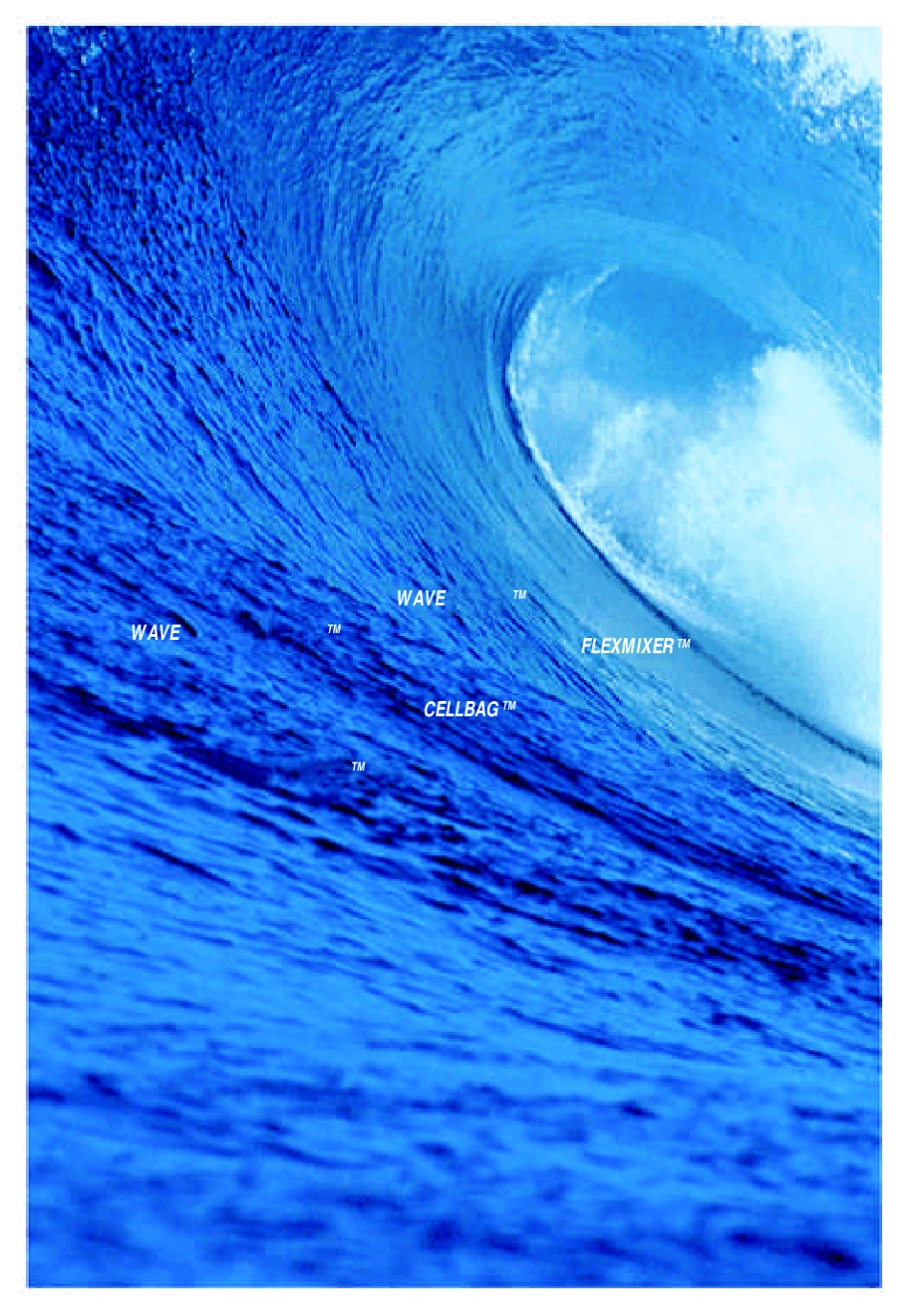 美国Wave摇袋式细胞培养生物反应器_第3页