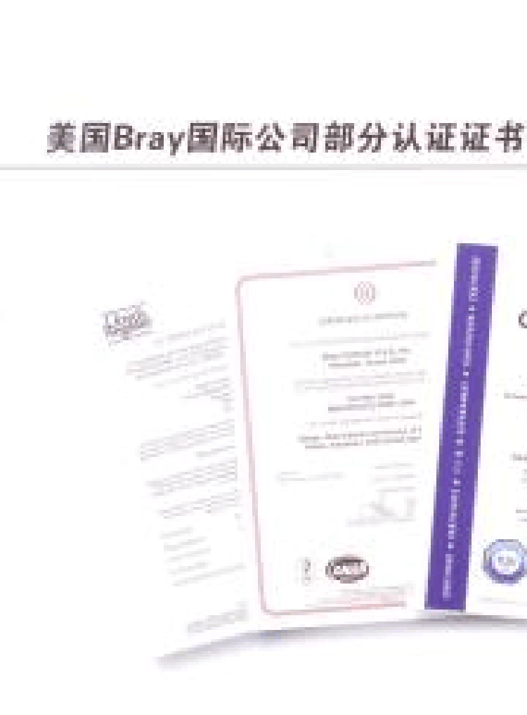 美国博雷(BRAY)阀门综合样本2010博雷蝶阀博雷球阀博雷止回阀博雷电磁阀进口阀门_第3页