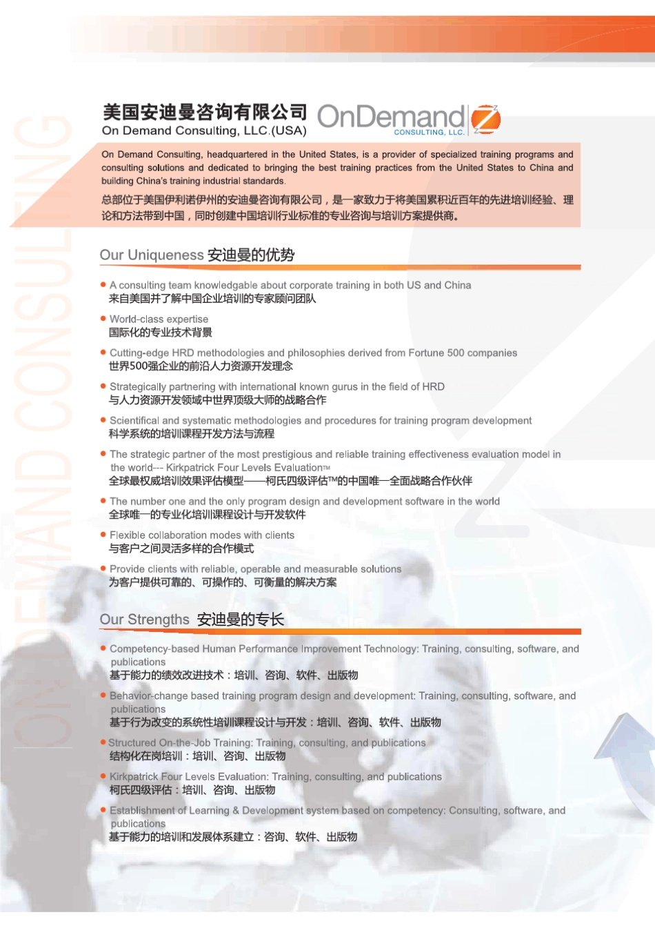 美国安迪曼咨询_第2页