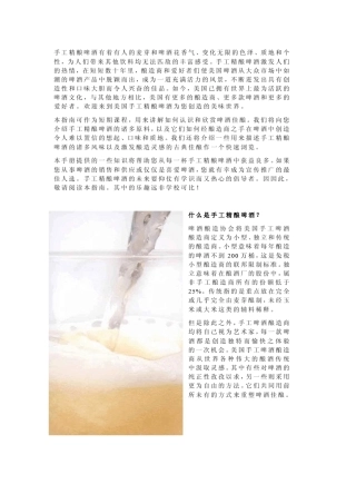 美国手工精酿啤酒