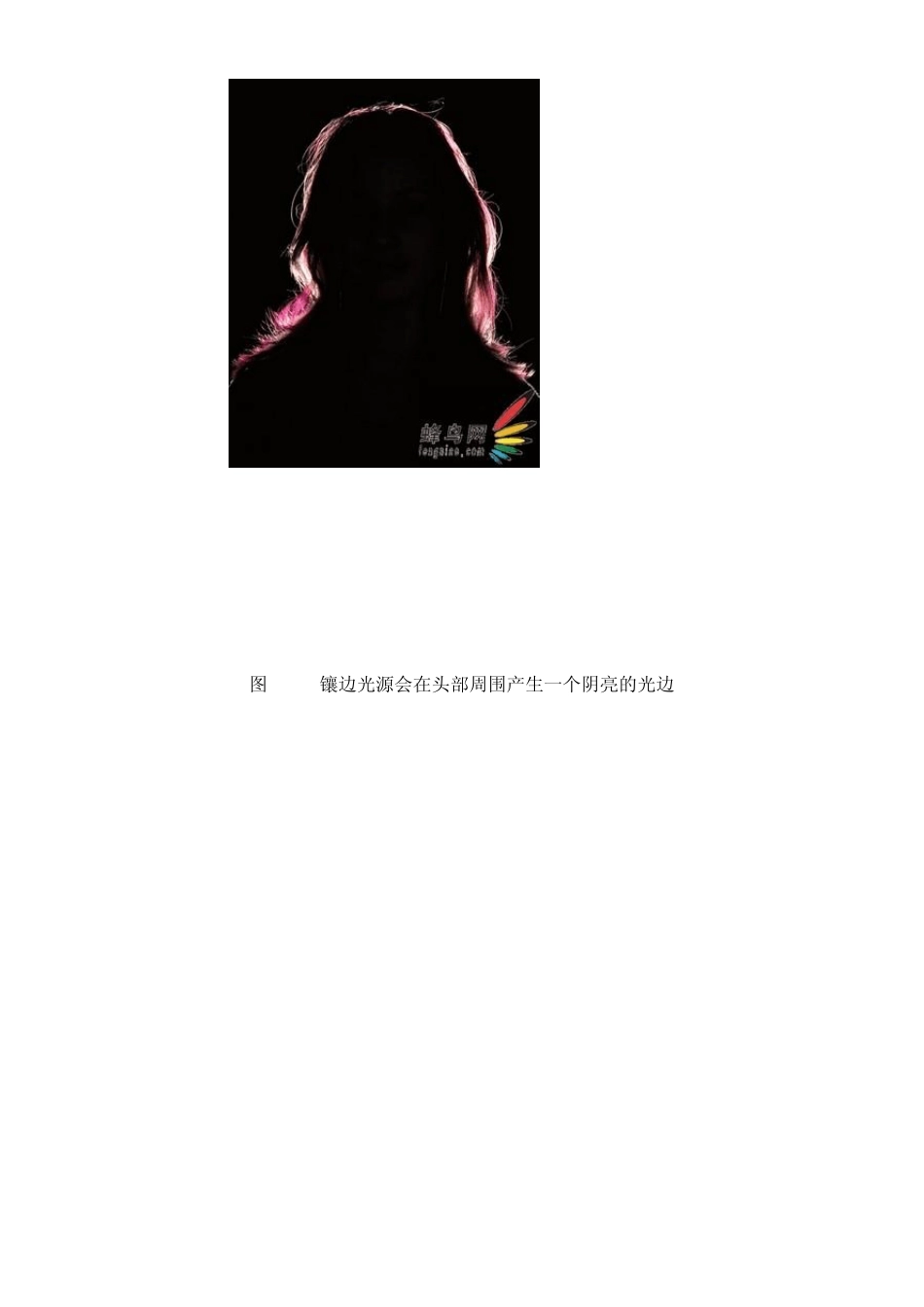 美国摄影用光教程棚拍中强聚光的应用_第3页