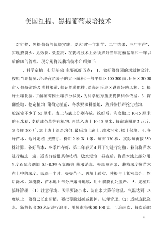 美国红提葡萄栽培技术