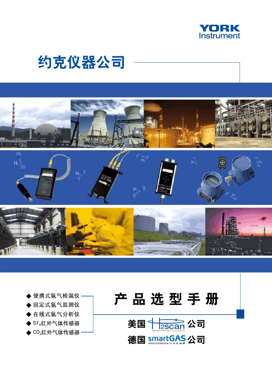 美国约克公司产品手册_第1页