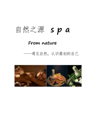 美容院SPA会所价格表设定模版