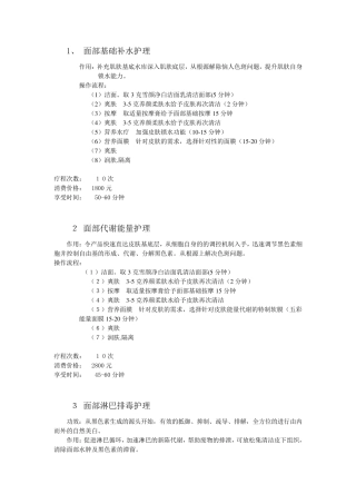 美容院项目手册