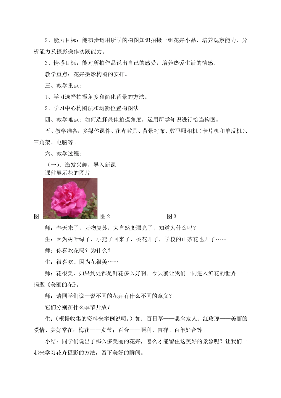 美术课《美丽的花》教学课例_第2页