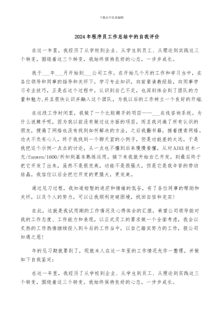 2024年程序员工作总结中的自我评价
