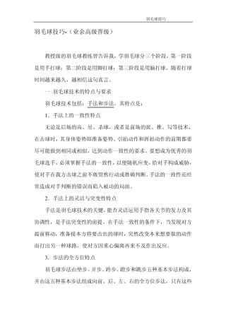 羽毛球技巧(高级晋级)